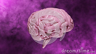 8K Resolution 3D rendered Realistic Brain with Light Pink tinted on Abstract Pink Background Stock Photo