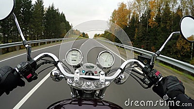 4K Snabb motorcykelridning på den härliga forested vägen, bred punkt av sikten av ryttaren För evigt för klassisk kryssare/avbryt lager videofilmer 4K Snabb motorcykelridning på den härliga forested vägen, bred punkt av sikten av ryttaren För evigt för klassisk kryssare/avbryt lager videofilmer
