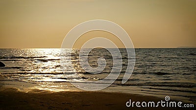 4K Sylwetka młody szczęśliwy kipiel mężczyzna bieg z długimi kipieli deskami przy zmierzchem na tropikalnej plaży surfingowiec na zbiory wideo 4K Sylwetka młody szczęśliwy kipiel mężczyzna bieg z długimi kipieli deskami przy zmierzchem na tropikalnej plaży surfingowiec na zbiory wideo