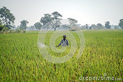 KACHANDA, CHHATTISGARH, INDIA, NOVEMBER 15, 2022: Farmer spraying pesticide on his field, indian farmer spraying pesticide at Editorial Stock Photo