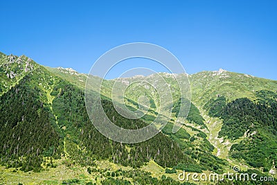 Kackar mountains with green forest landscape in Rize,Turkey. Stock Photo