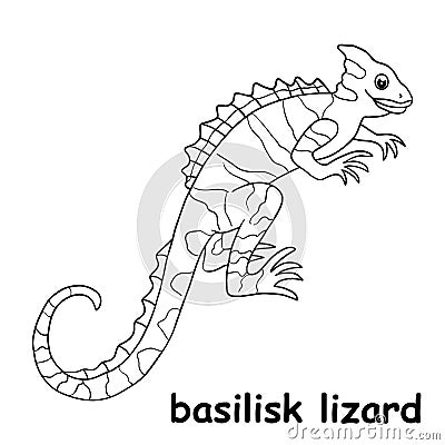 Kids line illustration coloring basilisk lizard. animal are just lines Vector Illustration