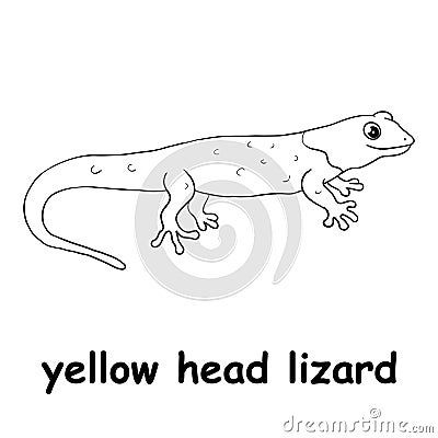 Kids line illustration coloring yellow head lizard. animal are just lines Vector Illustration