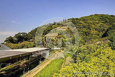 Kadoorie Farm at Hong Kong Stock Photo