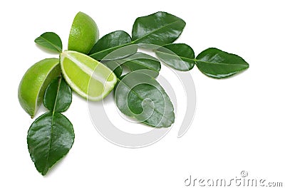 Kaffir Lime Stock Photo