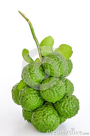 Kaffir lime Stock Photo