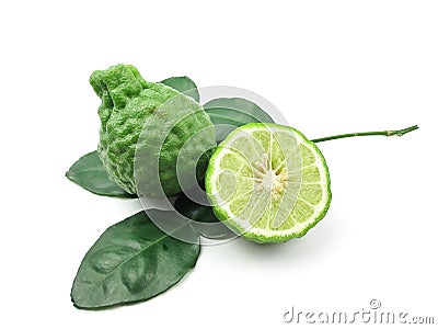 Kaffir Lime with leaves Stock Photo