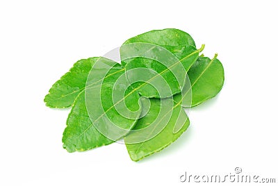 Kaffir lime leaves Stock Photo