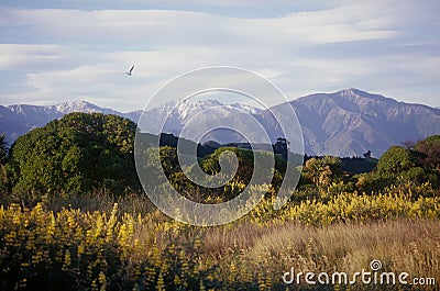 Kaikoura Ranges Stock Photo