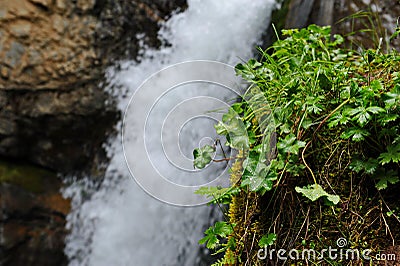 Kairak waterfall. Mountainous area near the city of Almaty Stock Photo