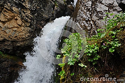 Kairak waterfall. Mountainous area near the city of Almaty Stock Photo