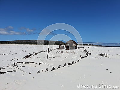 Kakapo Wreak Noordhoek Beach Western Cape Stock Photo