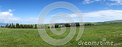 Kalajun grassland in summer Stock Photo