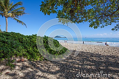 Amazing Tropical Kalama Beach Park Oahu Hawaii Editorial Stock Photo