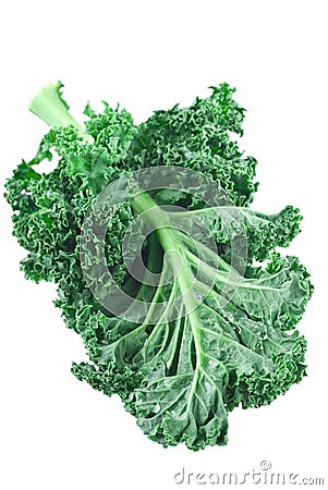 Kale Stock Photo