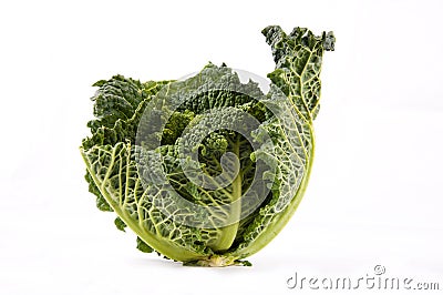 Kale Stock Photo