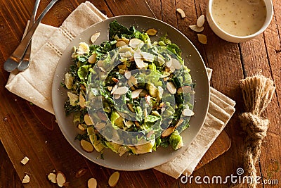 Kale and Brussel Sprout Salad Stock Photo