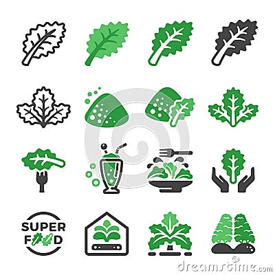 Kale icon set Vector Illustration