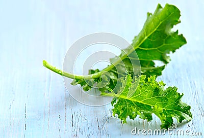 Kale leaves Stock Photo