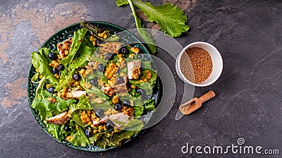 Kale salad with chicken fillet and blueberries. Long banner format, top view Stock Photo