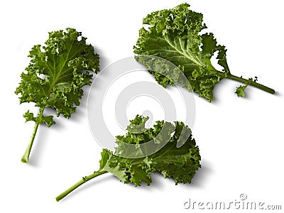 Kale Stock Photo