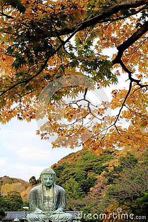 Kamakura Daibutsu in Autumn Stock Photo