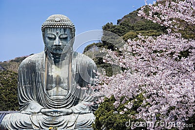 Kamakura Daibutsu with cherry blossoms Stock Photo