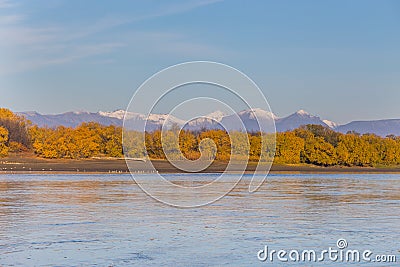 Kamchatka River. The forest in autumn colors and the snow-capped mountain peaks, Kozyriewsk, Russia. Stock Photo