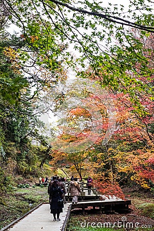 Autumn scenery at Kameiwa Cave and Nomizo Waterfall Editorial Stock Photo