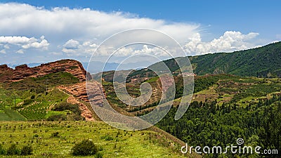 The Kampala National Forest Park Stock Photo