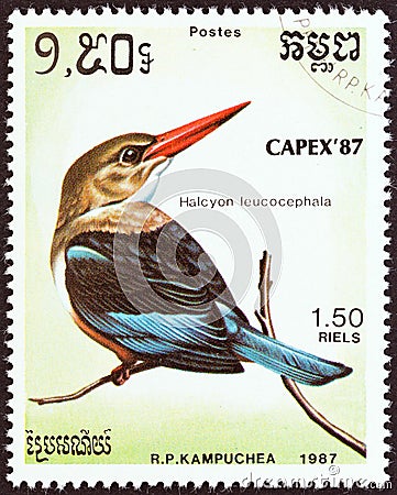 KAMPUCHEA - CIRCA 1987: A stamp printed in Kampuchea shows Grey-headed kingfisher Halcyon leucocephala, circa 1987. Editorial Stock Photo