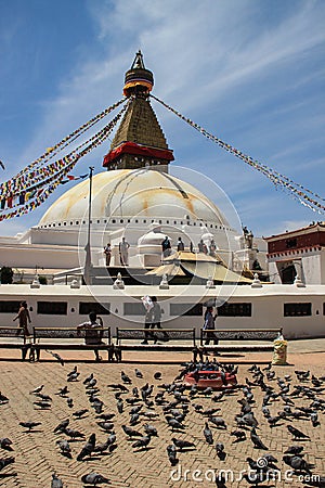 A huge flock of pigeons on Kathmandu street near the Buddhist stupa Editorial Stock Photo