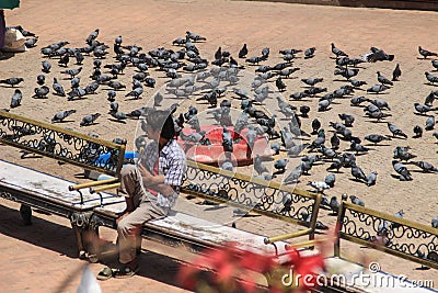 A huge flock of pigeons on Kathmandu street near the Buddhist stupa Editorial Stock Photo