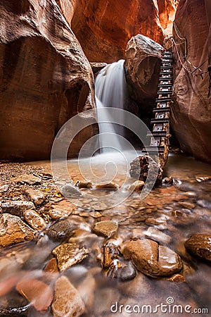 Kanarra creek slot canyon in Zion national park, Utah Stock Photo