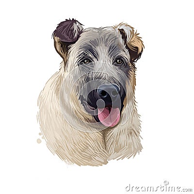 Kangal Dog, Kangal Shepherd Dog, Sivas Kangal, Turkish Kangal, Anatolian Shepherd dog digital art illustration isolated on white Cartoon Illustration