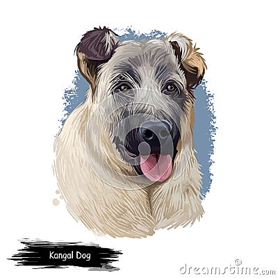 Kangal Dog, Kangal Shepherd Dog, Sivas Kangal, Turkish Kangal, Anatolian Shepherd dog digital art illustration isolated on white Cartoon Illustration