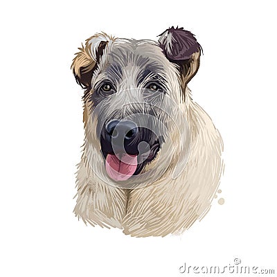 Kangal Dog, Kangal Shepherd Dog, Sivas Kangal, Turkish Kangal, Anatolian Shepherd dog digital art illustration isolated on white Cartoon Illustration