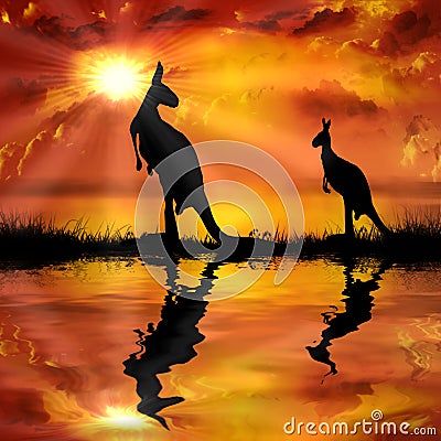 Kangaroo on a beautiful sunset background Cartoon Illustration
