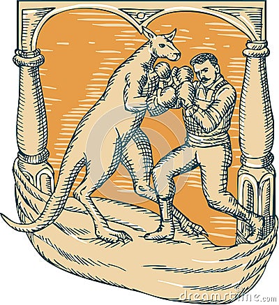 Kangaroo Boxing Man Etching Vector Illustration