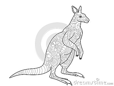 Kangaroo coloring book for adults vector illustration Vector Illustration