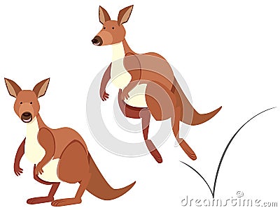 Kangaroo hopping on white background Vector Illustration