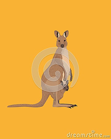 Kangaroo mom hidding her kid in a pocket. Female Australian wallaby take care of her cub Vector Illustration