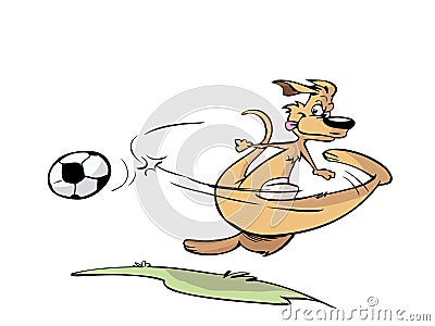 Kangaroo Playing Soccer Stock Photography - Image: 12740792