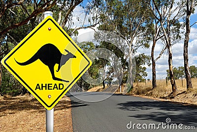 Kangaroo warning road sign Stock Photo