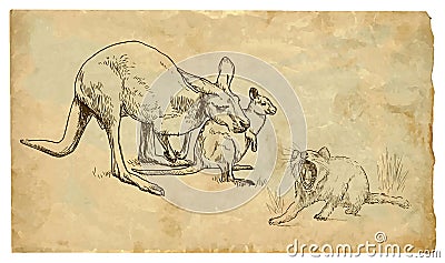 Kangaroos and Tasmanian devil Vector Illustration