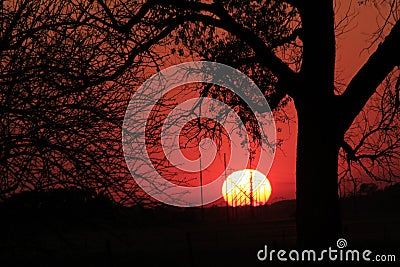 Kansas Sunset with the Sun and tree silhouettes with power lines in the country Stock Photo