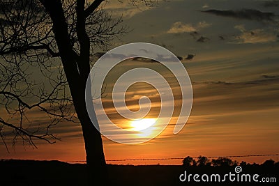 Kansas sunset with a tree silhouette and clouds that's bright and colorful Stock Photo