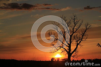 Kansas sunset with a tree silhouette and clouds that's bright and colorful Stock Photo