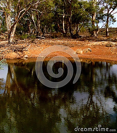 Kanyaka Waterhole Stock Photo