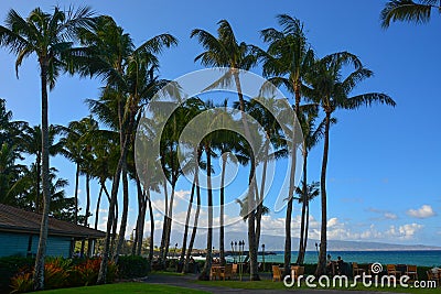 Kapalua, Maui, DT Fleming Beach, Hawaiian islands Editorial Stock Photo